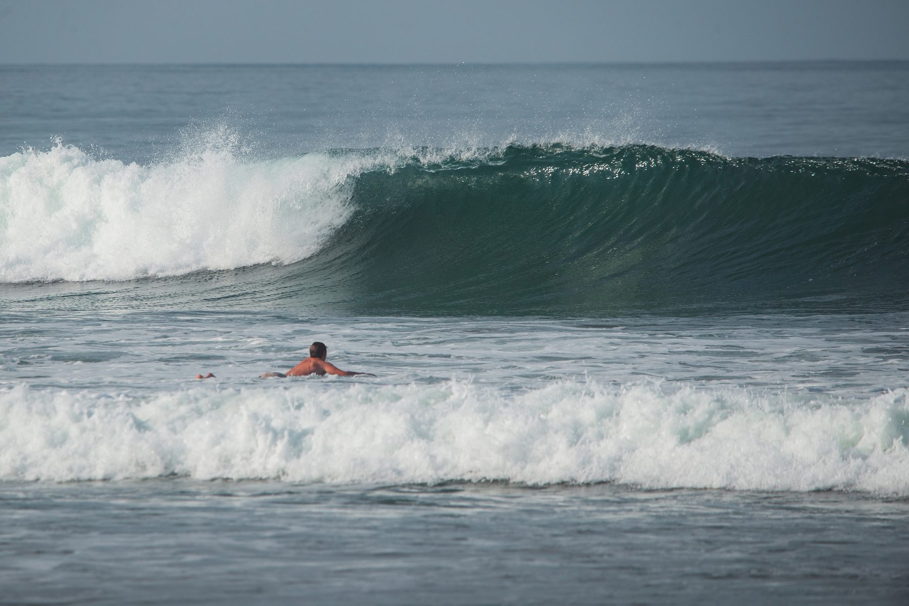 WaveRetreat surfer in the lineup