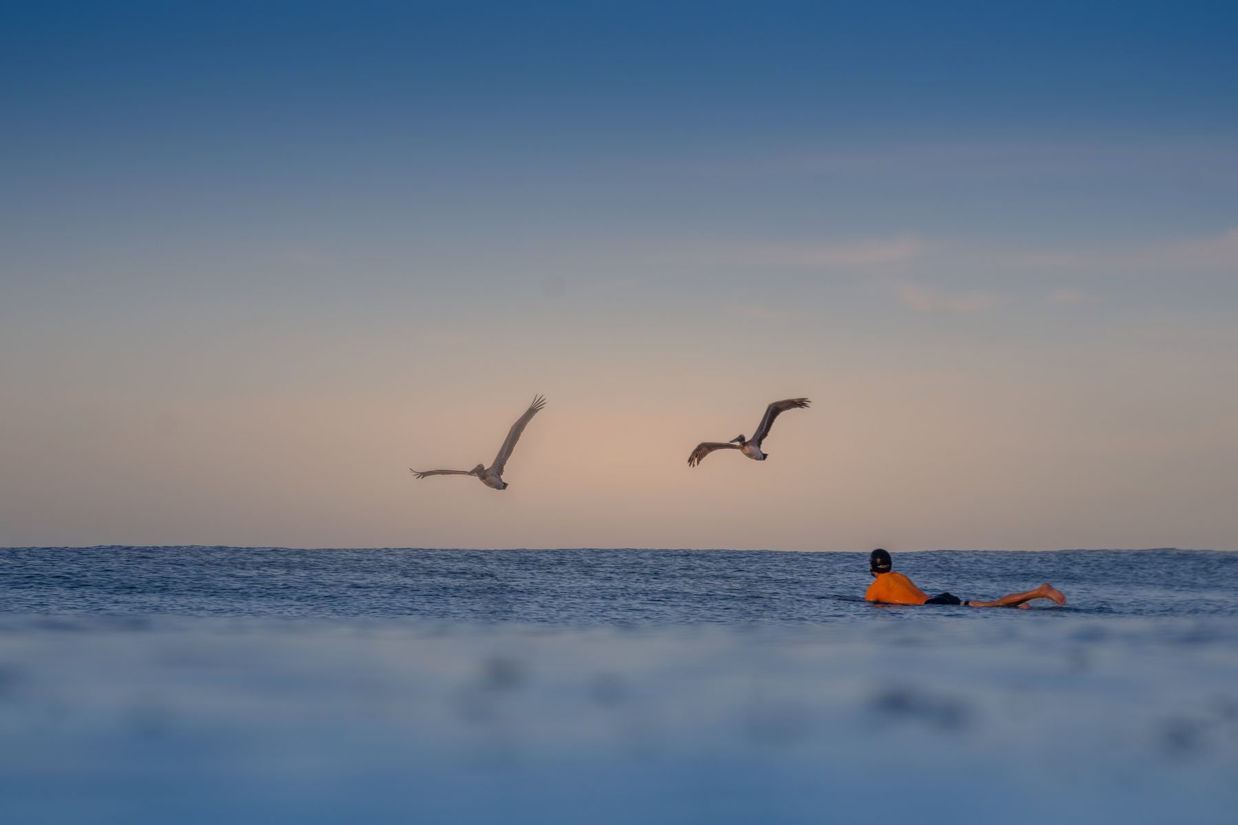 Paddling out at golden hour with pelicans